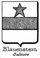 Blauenstein Coat of Arms / Family Crest 0