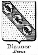Blauner Coat of Arms / Family Crest 0