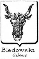 Bledowski Coat of Arms / Family Crest 0