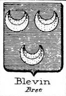 Blevin Coat of Arms / Family Crest 0