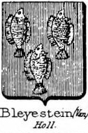 Bleyestein Coat of Arms / Family Crest 0