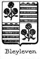 Bleyleven Coat of Arms / Family Crest 0
