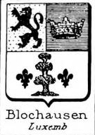 Blochausen Coat of Arms / Family Crest 0