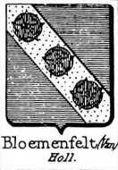 Bloemenfelt Coat of Arms / Family Crest 0