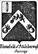 Blomefield Coat of Arms / Family Crest 3