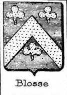 Blosse Coat of Arms / Family Crest 2