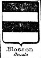 Blossen Coat of Arms / Family Crest 0
