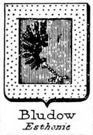 Bludow Coat of Arms / Family Crest 1