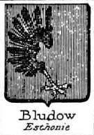 Bludow Coat of Arms / Family Crest 0