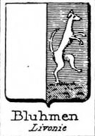 Bluhmen Coat of Arms / Family Crest 0