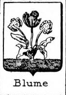 Blume Coat of Arms / Family Crest 1