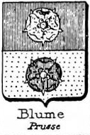 Blume Coat of Arms / Family Crest 0