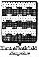 Blunt Coat of Arms / Family Crest 1