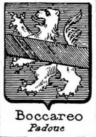 Boccareo Coat of Arms / Family Crest 0