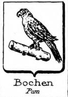 Bochen Coat of Arms / Family Crest 0