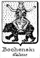 Bochenski Coat of Arms / Family Crest 0