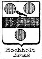 Bochholt Coat of Arms / Family Crest 0