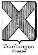 Bochingen Coat of Arms / Family Crest 1