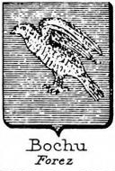 Bochu Coat of Arms / Family Crest 0