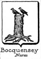 Bocquensey Coat of Arms / Family Crest 0