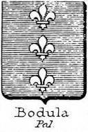Bodula Coat of Arms / Family Crest 0