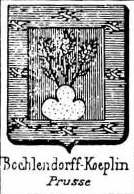 Boehlendorlf Coat of Arms / Family Crest 0