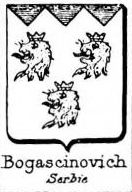 Bogascinovich Coat of Arms / Family Crest 1