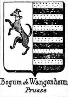 Bogun Coat of Arms / Family Crest 0