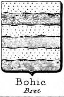 Bohic Coat of Arms / Family Crest 0