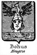Bohus Coat of Arms / Family Crest 2