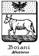 Boiani Coat of Arms / Family Crest 0