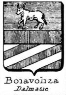 Boiavoliza Coat of Arms / Family Crest 0