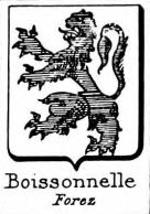 Boissonnelle Coat of Arms / Family Crest 0