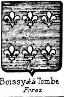 Boissy Coat of Arms / Family Crest 2