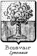 Boisvair Coat of Arms / Family Crest 0