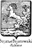 Bojan Coat of Arms / Family Crest 0