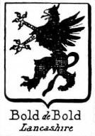 Bold Coat of Arms / Family Crest 6