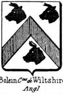 Boleyn Coat of Arms / Family Crest 2