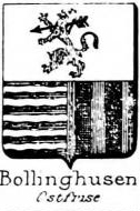Bollinghusen Coat of Arms / Family Crest 0