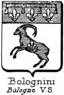 Bolognini Coat of Arms / Family Crest 2