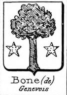 Bone Coat of Arms / Family Crest 5