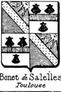 Bonet Coat of Arms / Family Crest 10