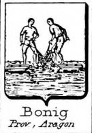Bonig Coat of Arms / Family Crest 0
