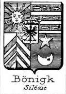 Bonigk Coat of Arms / Family Crest 0
