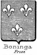Boninga Coat of Arms / Family Crest 0