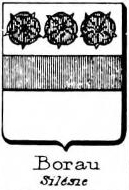 Borau Coat of Arms / Family Crest 6