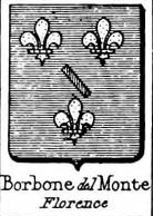 Borbone Coat of Arms / Family Crest 3