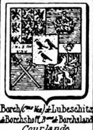 Borch Coat of Arms / Family Crest 8