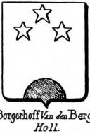 Borgerhoff Coat of Arms / Family Crest 0