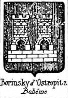 Borinsky Coat of Arms / Family Crest 0